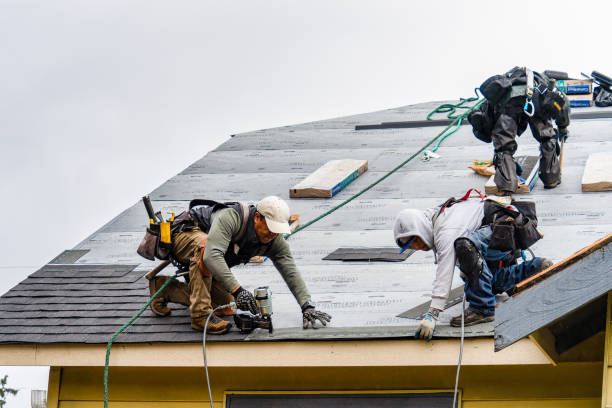 Professional Storm Damage Roof Repair technician working in Howard, CO